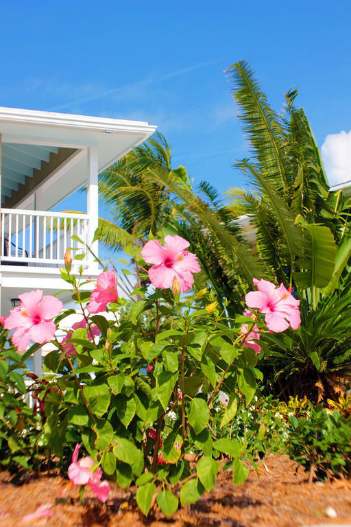 Exuma Beach Resort George Town Ngoại thất bức ảnh