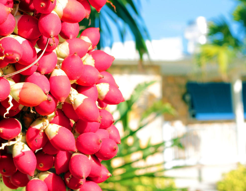 Exuma Beach Resort George Town Ngoại thất bức ảnh